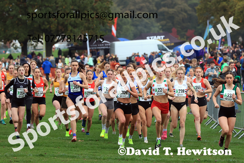Senior Womens relay, 2025 Northern Cross Country Relays, Graves Park, Sheffield. Photo: David T. Hewitson/Sports for All Pics